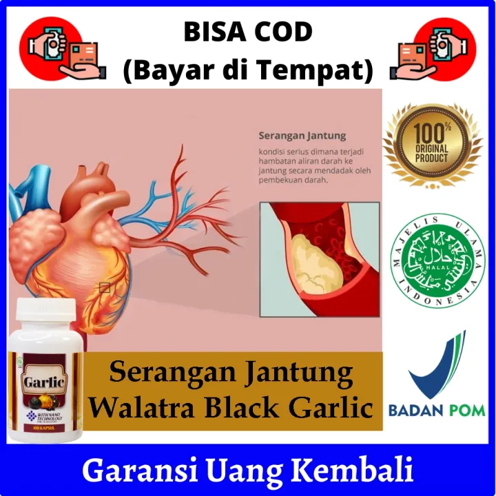 Obat Herbal Serangan Jantung Obat Serangan Jantung Ringan Jantung Berdebar Lemah Sesak Nafas Jantung Koroner Jantung