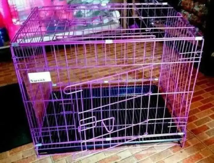Kandang kucing bisa dilipat  Lazada Indonesia