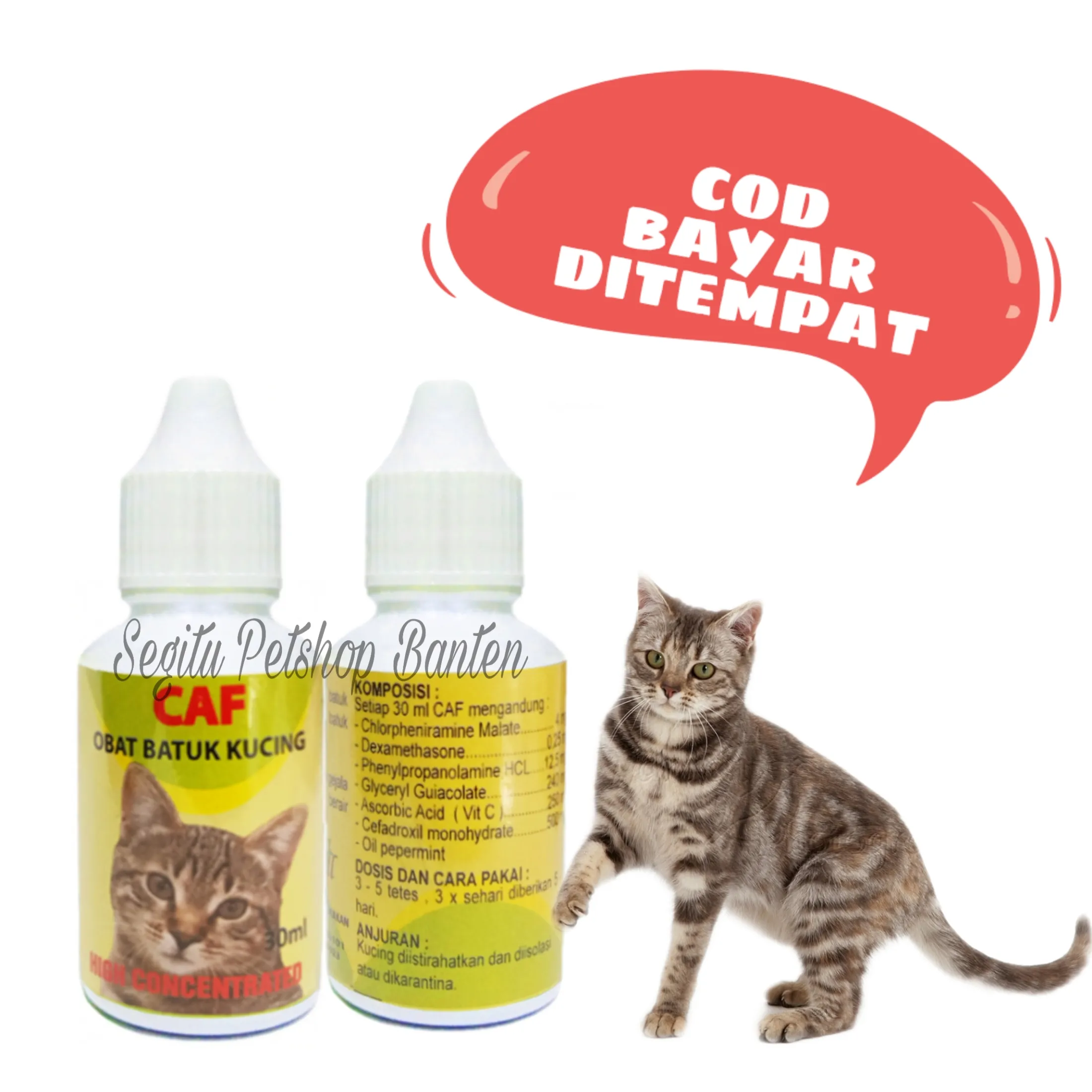 OBAT SAKIT KUCING BATUK FLU OBAT PILEK KITTEN CAF  Lazada Indonesia