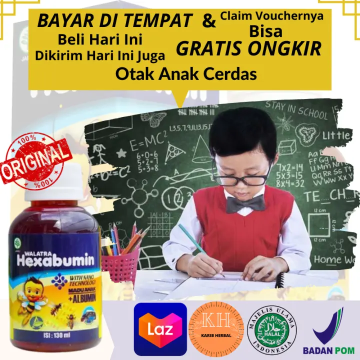Vitamin Anak Untuk Otak Cerdas Madu Kecerdasan Si Kecil Menjaga Daya Tahan Tubuh Balita Madu Anak