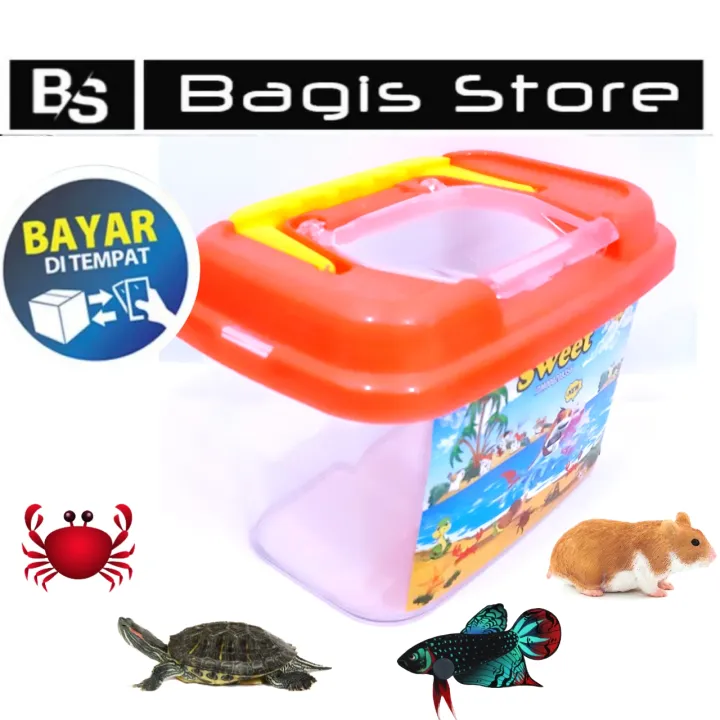 Aquarium Mini Terrarium Plastik Box Untuk Ikan Dan Kura Kura Hamster Lazada Indonesia