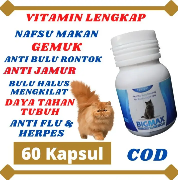 VITAMIN KUCING VITAMIN KUCING BIAR GEMUK VITAMIN NAFSU MAKAN KUCING BULU  RONTOK OBAT KUCING VITAMIN KITTEN VITAMIN KUCING GEMUK - BIGMAXCAT