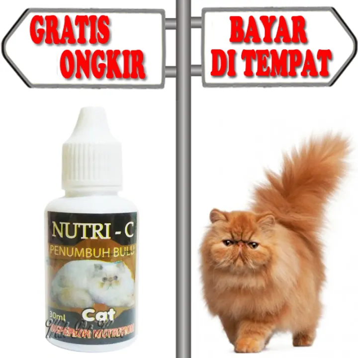 Obat Bulu Kucing Rontok Vitamin Penumbuh Bulu Botak Kitten Nutri 
