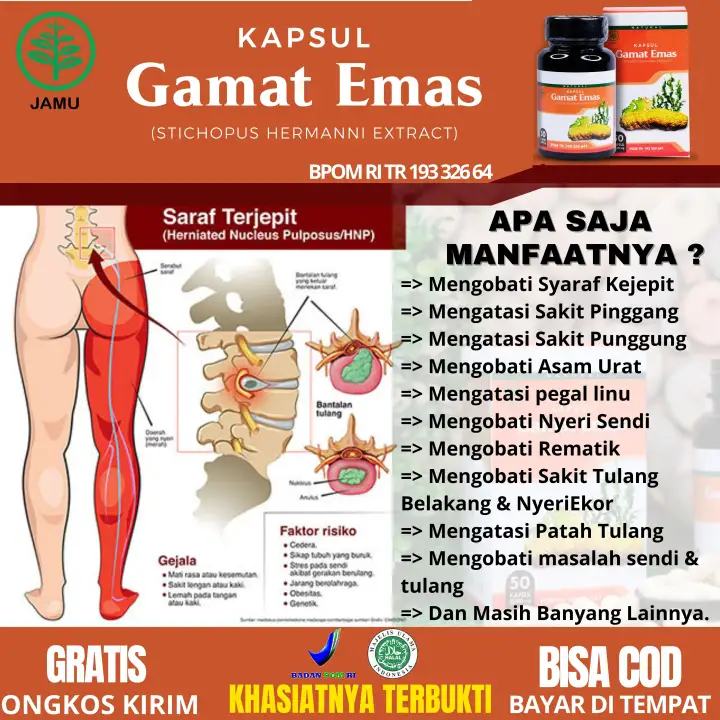 Obat Sakit Saraf Terjepit Syaraf Kejepit Nyeri Sendi Urat Menyempit Punggung Pinggang Bokong Encok Gout Tangan Mati Rasa Kaki Kebas Kesemutan Leher Kaku Otot Tegang Osteoarthitis Osteoporosis Pengapuran Tulang Gamat Emas No