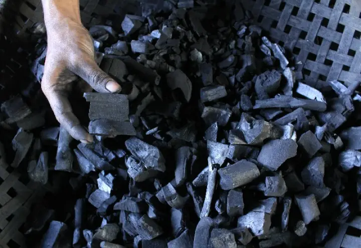 Arang Kayu Bakar Areng Bakar Per 500 Gram Lazada Indonesia