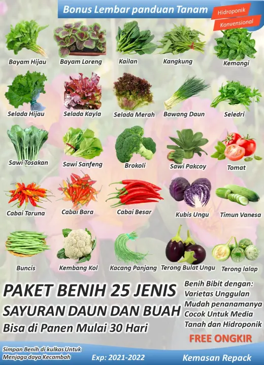 Paket Benih 25 Jenis Sayuran Daun Dan Buah Lazada Indonesia