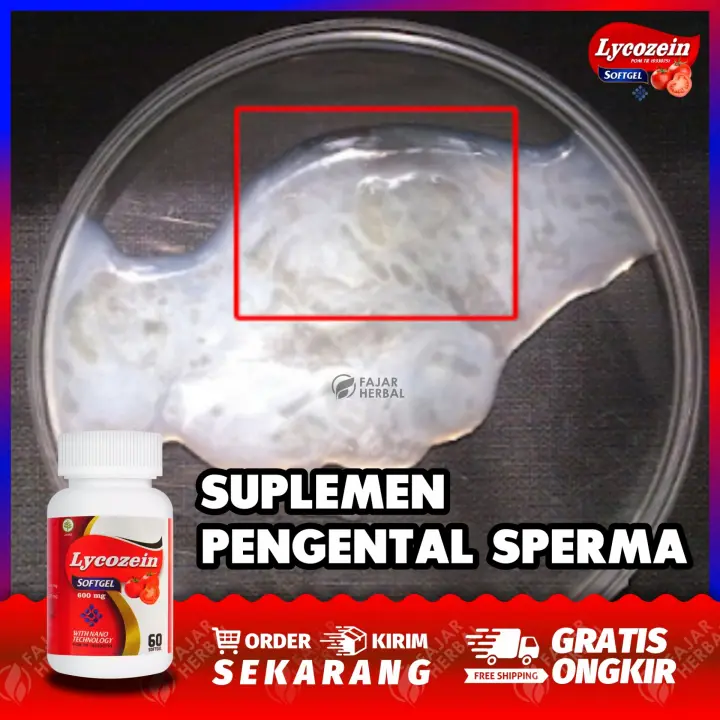 Suplemen Pengental Sperma Obat Air Mani Encer Sperma Encer Azoospermia Sperma Kosong Air Mani Kosong Spermatokel