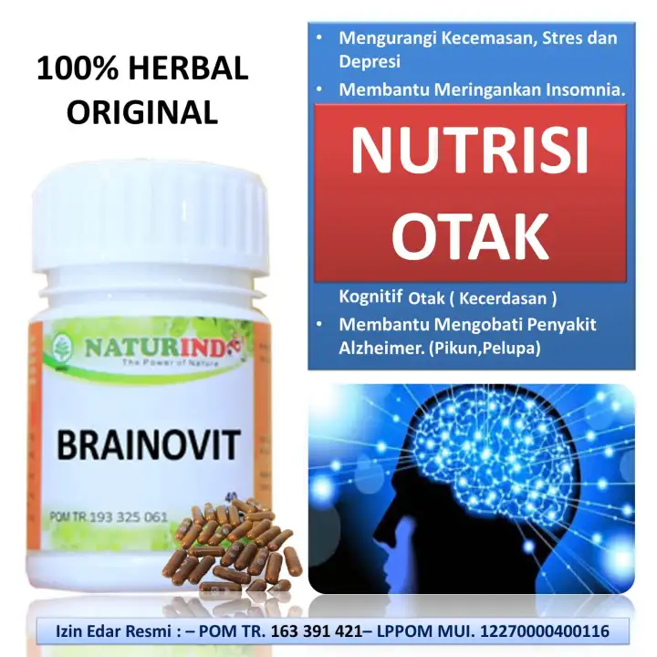 Brainofit Naturindo Vitamin Nutrisi Otak Sistem Syaraf Daya Ingat Pikun Dementia Alzheimer Parkinson Stroke Vertigo Migrain Dan Tinnitus Telinga Berdenging Isi 60 Kapsul Lazada Indonesia