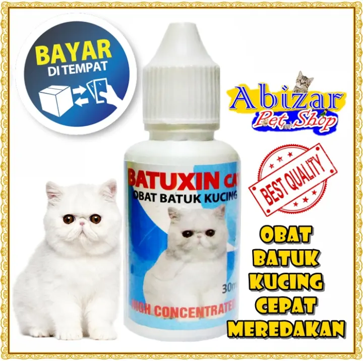 Obat Kucing Obat Batuk Kucing Obat Flu Kucing Batuk Pilek Bersin 