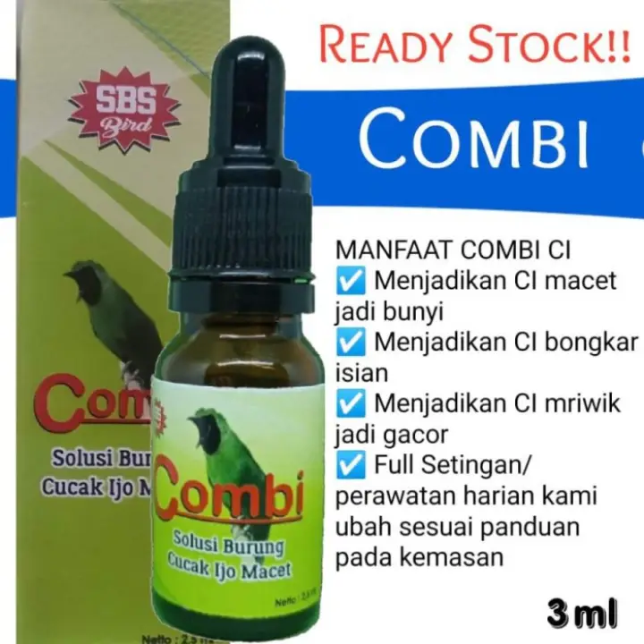 COMBI CUCAK IJO Solusi Burung Cucak Ijo Macet | Lazada Indonesia