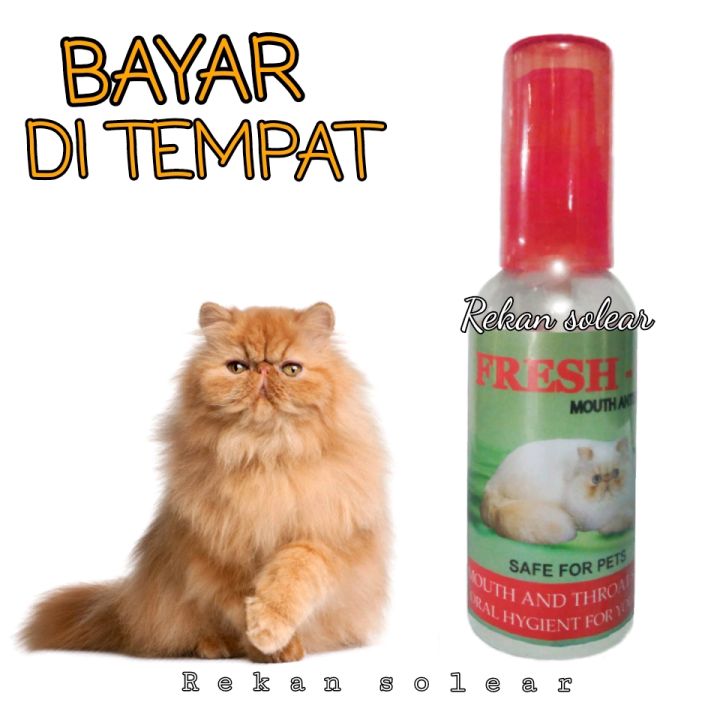 Fresh C Obat Sariawan Kucing Sakit Tenggorokan Antiseptik Penghilang Bau Mulut Lazada Indonesia