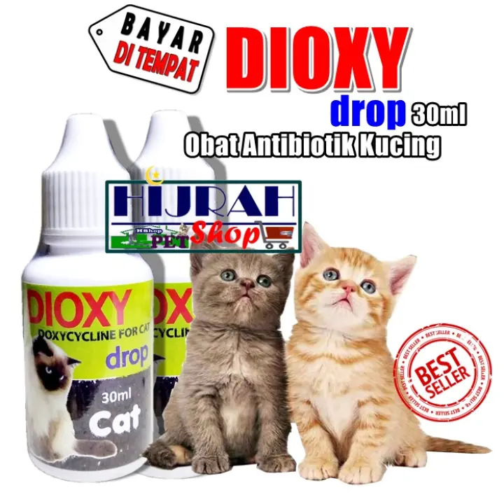 Obat Kucing Obat Antibiotik Kucing Obat Kucing Sakit Mengobati Demam Sesak  Nafas Radang Radang Paru Paru Pilek Bersin Mata Merah Dan Berair DIOXY drop  