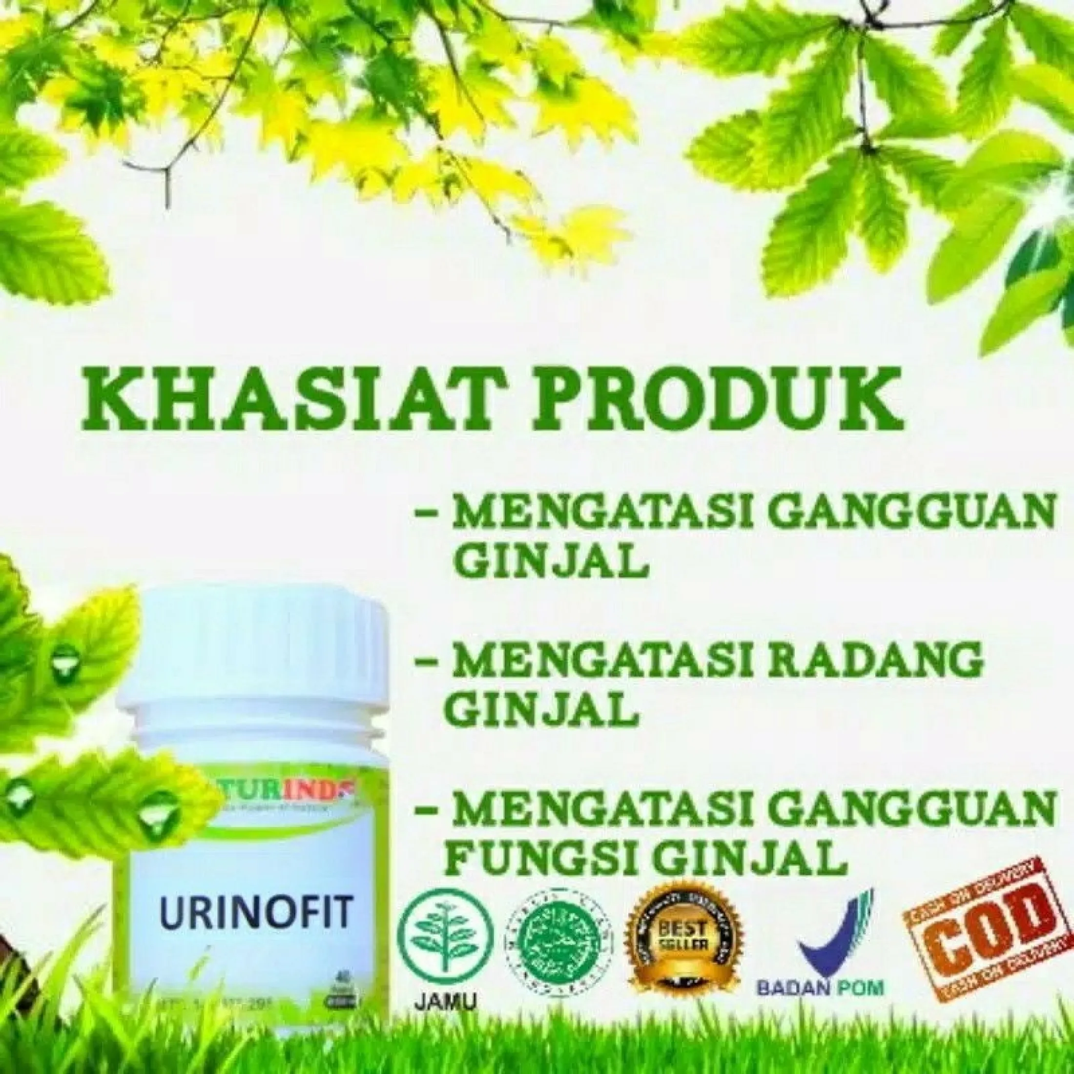 Obat Herbal Gagal Ginjal Bocor Batu Ginjal Kencing Berbuih Berbusa Susah Kencing Herbal Ampuh Lazada Indonesia