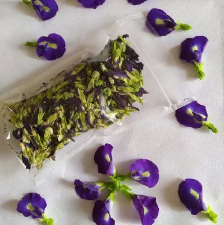 Bunga Telang Kering Minuman Sehat Teh Seduh Herbal Organik Dried Butterfly Pea Blue Flower Tea Premium Quality Berat Bersih 20 Gram Kemasan Pouch Plastik Tanpa Bahan Pengawet Lazada Indonesia