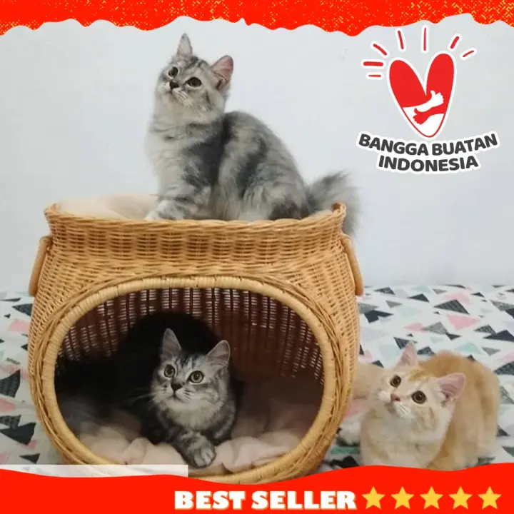 [COD] Promo Rumah Kucing Kandang Tingkat 2 Rotan Alami