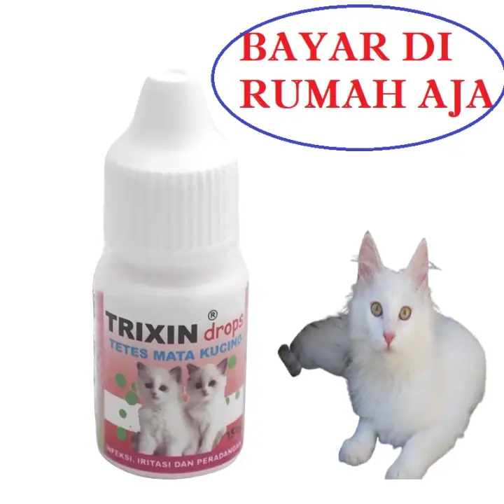 OBAT TETES MATA KUCING TERLARIS TRIXIN OBAT KUCING SAKIT MATA 