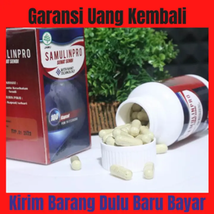 Obat Alami Nyeri Tulang Rusuk Herbal Untuk Obati Sakit Tulang Rusuk Sebelah Kanan Dan Kiri Memulihkan