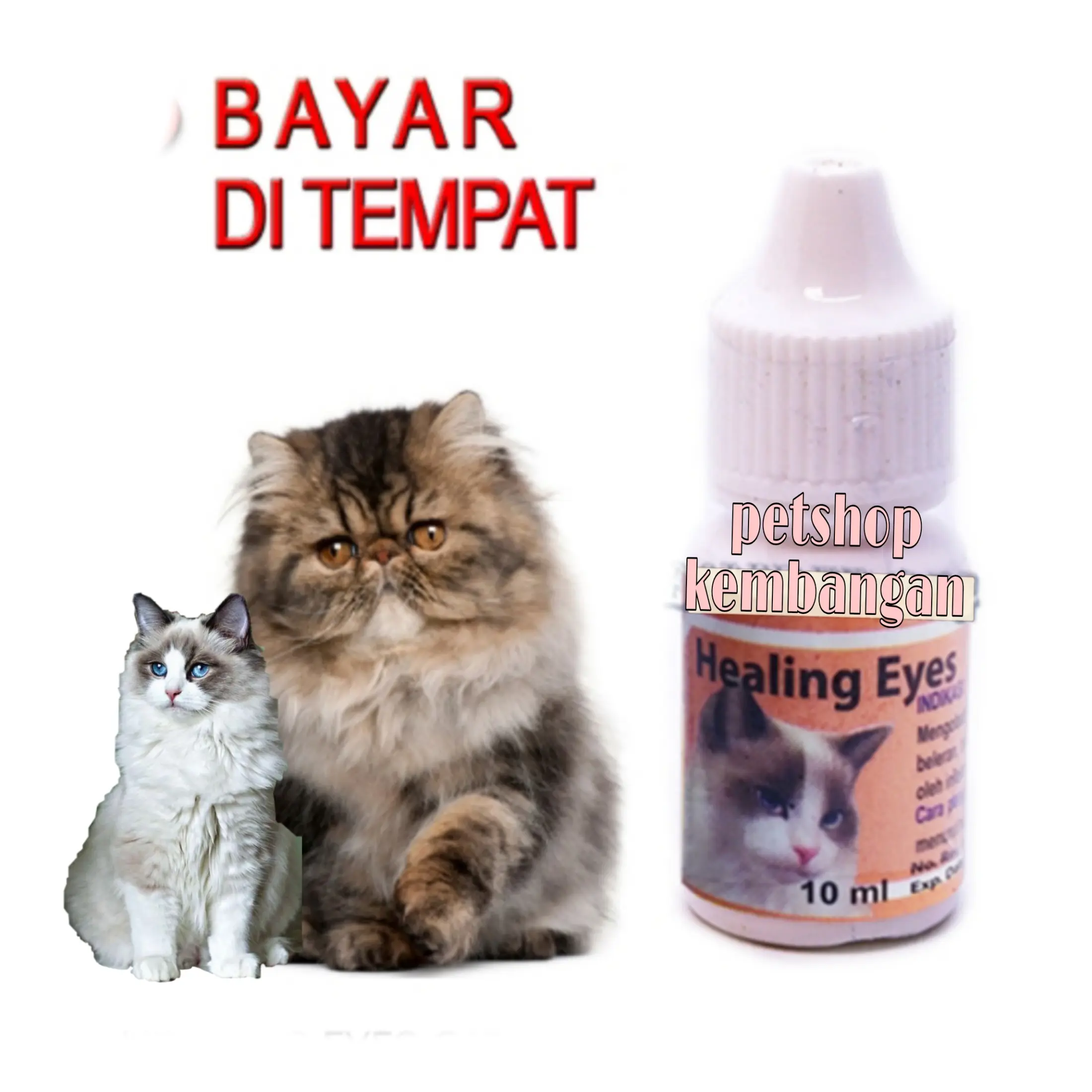 OBAT MATA KUCING TETES BERCAK PUTIH KELABU HEALING EYES CAT 