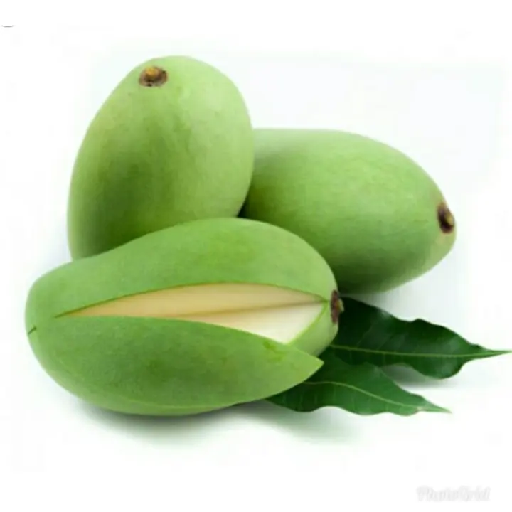 Mangga Muda Berat 1 Kg Cocok Buat Ibu Hamil Jual Mangga Terdekat K Khasiat Mangga Muda Kedongdongma Muda Untuk Ibu Hamil Buah Mangga Muda Mangga Muda Kalori Rujak Brangkes Lazada Indonesia