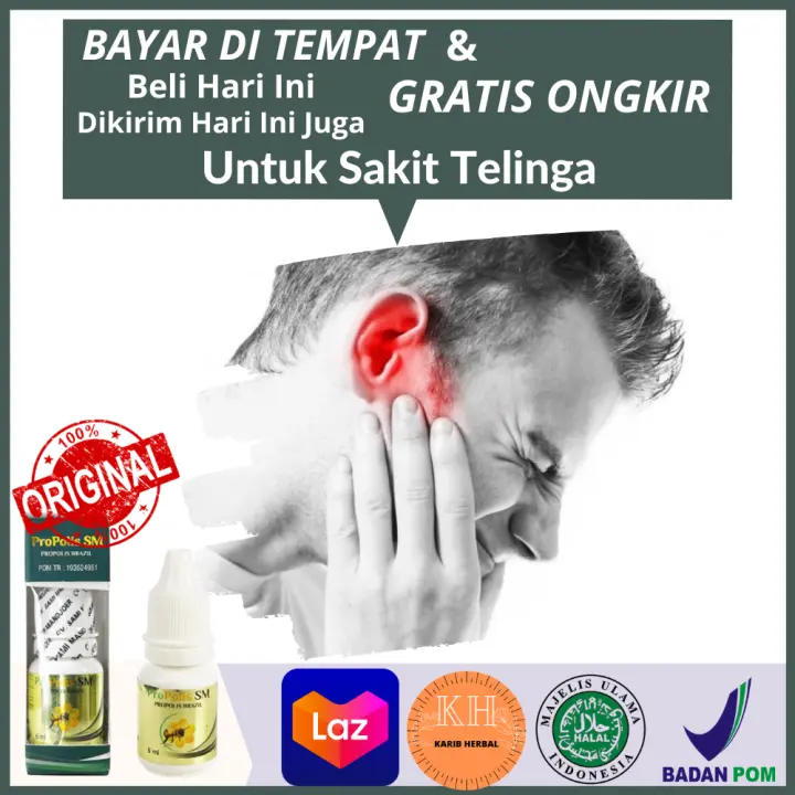 Obat Sakit Telinga Herbal Untuk Pendengaran Hilang Alami Congek Mengobati Telinga Gatal Bernanah Berair Dan Bau