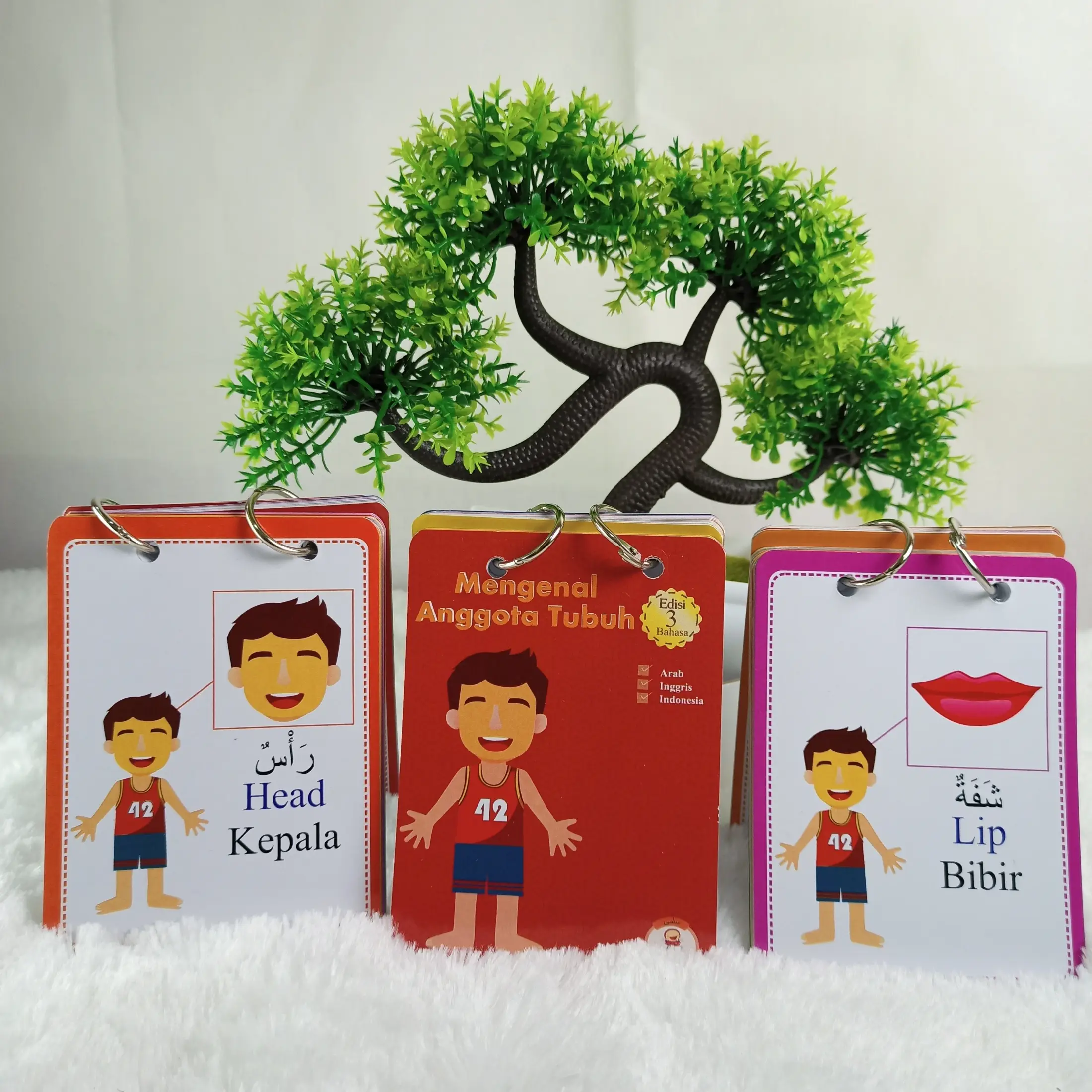 Flash Card Kartu Pintar Mainan Edukasi Anak Lengkap Anggota Tubuh Badan Untuk Usia Dini Balita Bayi Lazada Indonesia