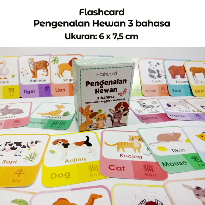 Flashcard Pengenalan Nama Hewan 3 Bahasa Kartu Pintar Anak Kartu Belajar Inggris Mandarin Lazada Indonesia