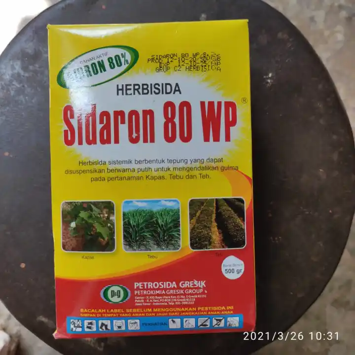 Herbisida Sidaron 80 Wp Isi 500 Gram Dari Petrosida Gresik Lazada Indonesia