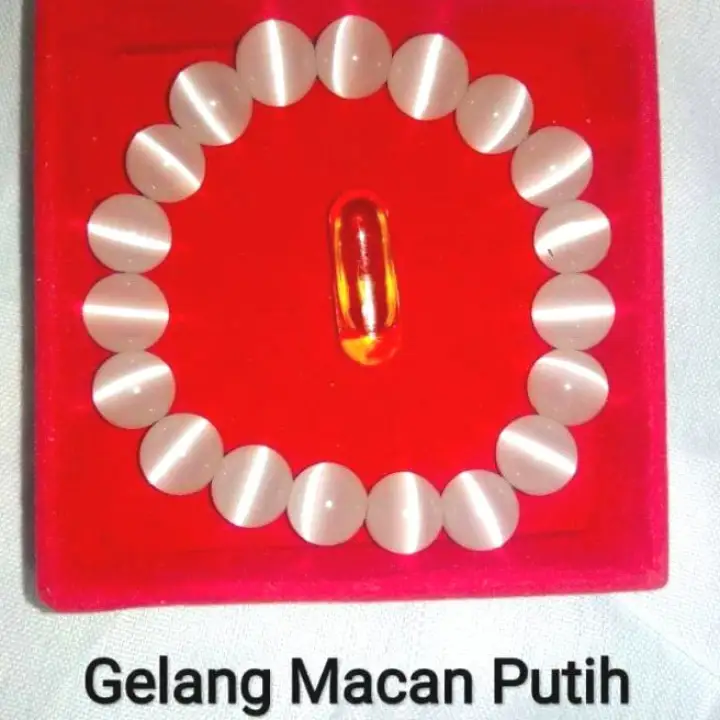 Gelang Karomah Khodam Macan Putih Lazada Indonesia