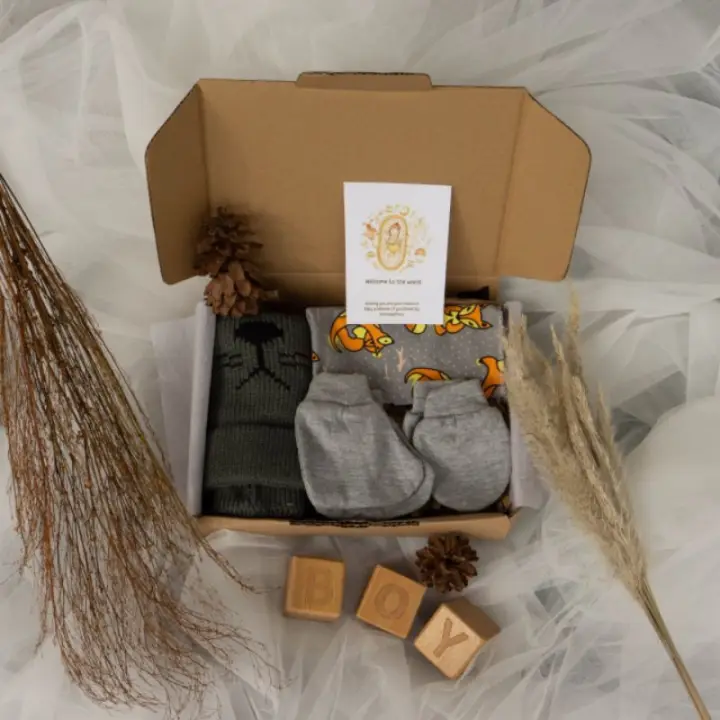 Hampers Baby Gift Parcel Bayi Kado Bayi Baru Lahir Baby Gift Parcel Baby New Born Set Baju Bayi Lazada Indonesia