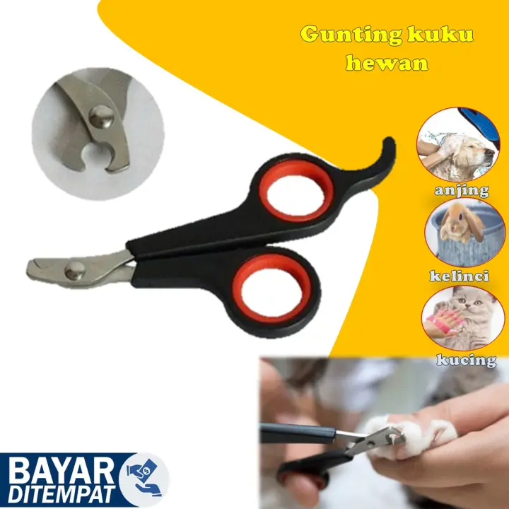 Gunting Kuku Kelinci Kucing Anjing Pet Nail Clipper Gunting Kuku Kucing  Perawatan Kuku Kucing Potong Kuku Kucing Potong Kuku Kelinci Alat Potong  Kuku 