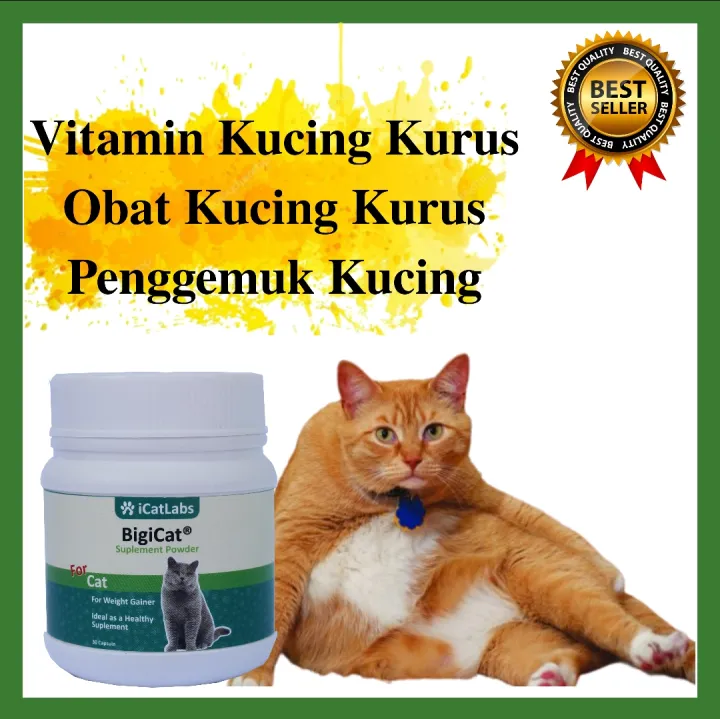 Ts 8 Bigicat Vitamin Bulu Kucing Obat Gemuk Untuk Kucing Vitamin Kucing Bulu Lebat Vitamin Kucing Biar Gemuk Lazada Indonesia