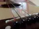 senar gitar akustik elektrik. 