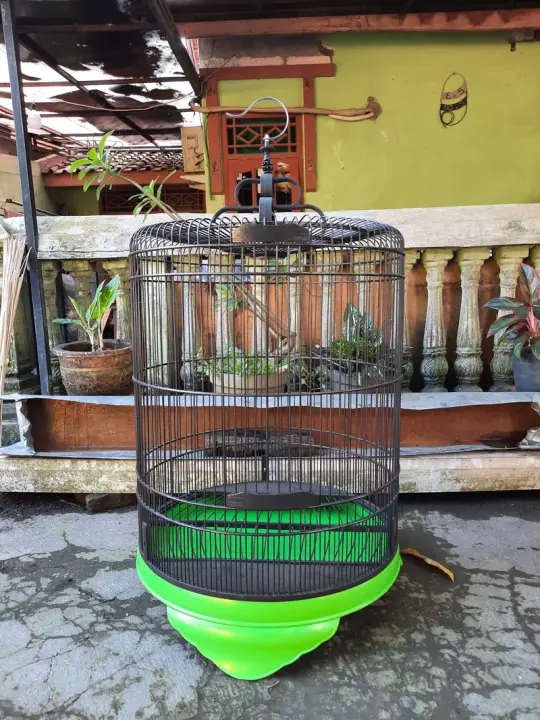 Sangkar Burung Tebok Pvc Sangkar Burung Murai Tebok Pvc No 2 D 58cm T 68cm L