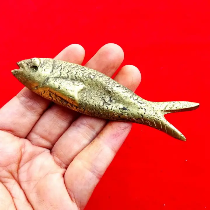 Hewan Unik Ikan Lele Unik Berbentuk Keris Kilangbango Kartoharjo Madiun