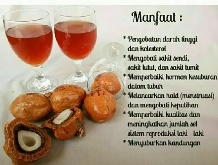 Buah Zuriat Mesir Promil 1 2 Kg 500 Gram Original Lazada Indonesia