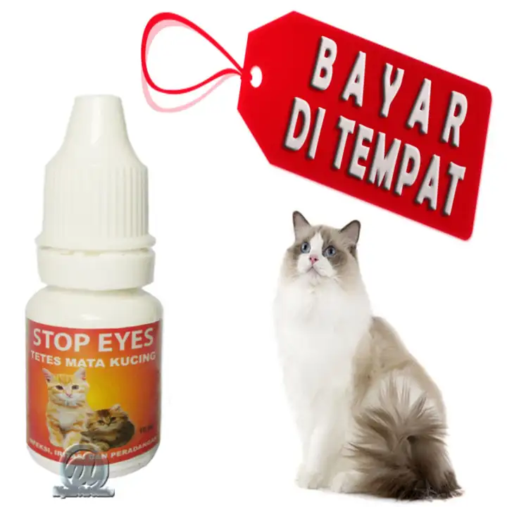 Obat Tetes Mata Kucing Berair Belek Kitten Stop Eyes Lazada Indonesia