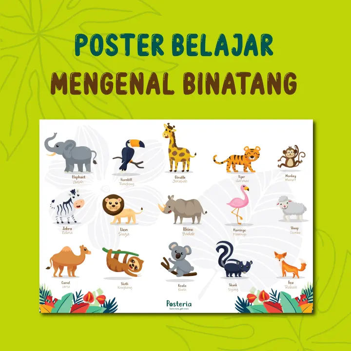 Posteria Poster Anak Paud Tk Edukasi Belajar Mengenal Nama Binatang Lazada Indonesia