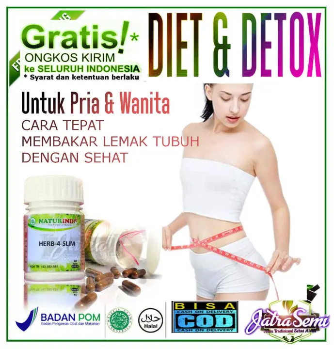 Obat Pembakar Lemak Tubuh Lemak Perut Obat Pelangsing Herbal Pengontrol Tlegiserida Peluruh Lemak Diet Herbal Alami