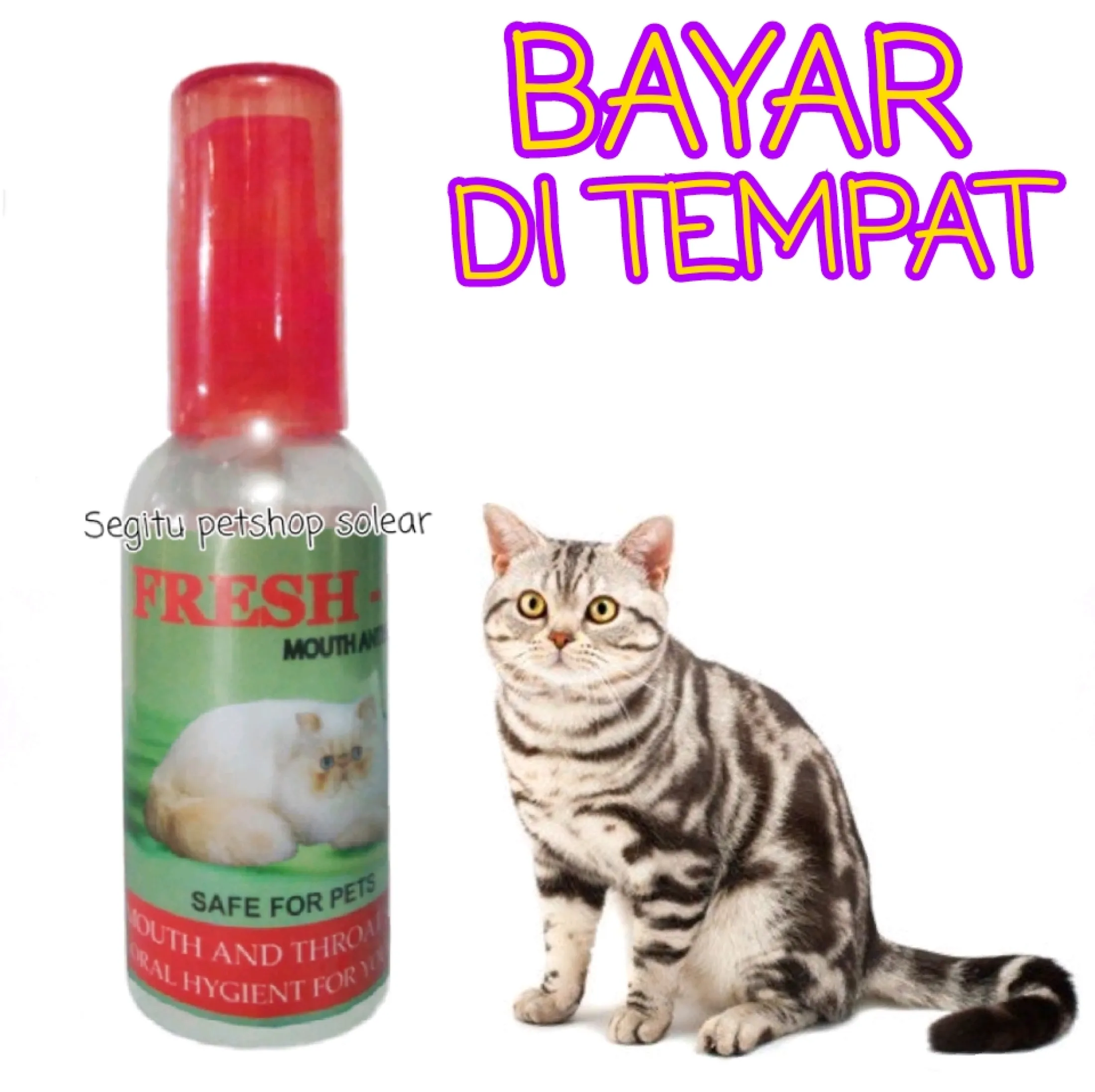 Obat Kucing Sariawan Bau Mulut Susah Makan Lemas Antiseptik Fresh C 60 Ml | Lazada Indonesia