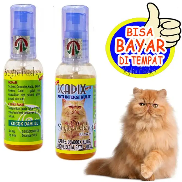 OBAT JAMUR KORENG KUCING SAKIT SCABIES LUKA GATAL KUTU PENYAKIT KULIT  SCADIX CAT