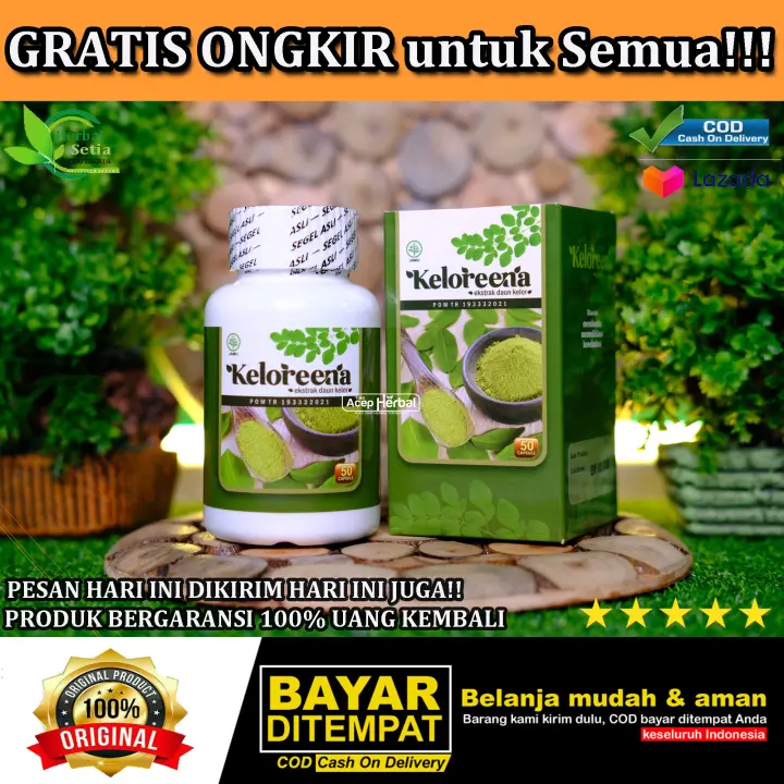 Obat Herbal Khusus Kholesterol Obat Penurun Kolesterol Tinggi Obat Alami Kolestrol Jahat Diabetes Maag Obat Asam