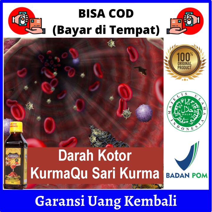 Obat Untuk Mengatasi Darah Kotor Pembersih Darah Kotor Pada Pria Dan Wanita Obat Darah Kotor Untuk Ibu Hamil Dan Menyusui Mengeluarkan Darah Kotor Membersihkan Darah Kotor Dalam Tubuh Setelah Melahirkan Gatal Gatal Jerawat Bisul