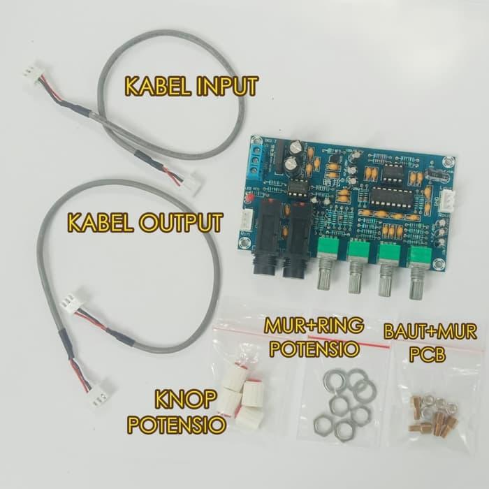 microphone with echo microphone with echo