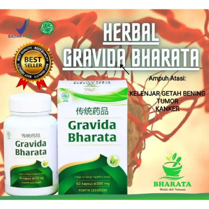Obat Kanker Herbal Ampuh Kanker Payudara Kanker Serviks Kanker