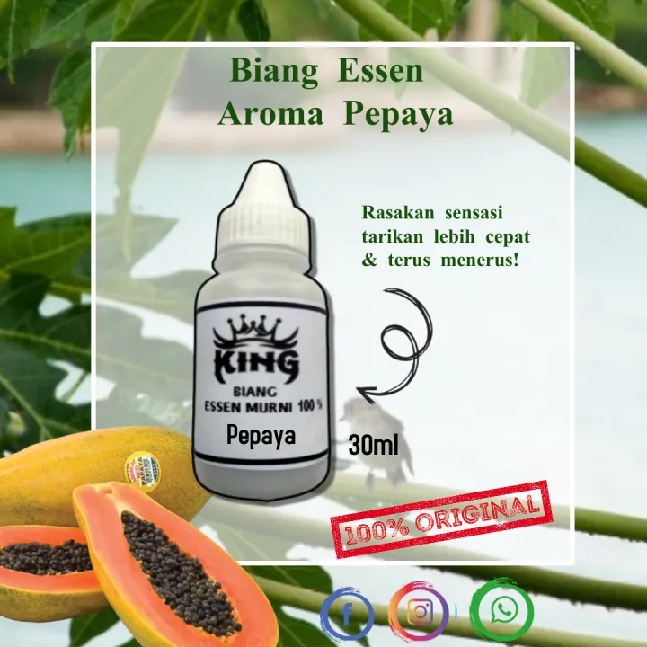 Biang Essen Aroma Pepaya 30ml Paling Ampuh Lazada Indonesia