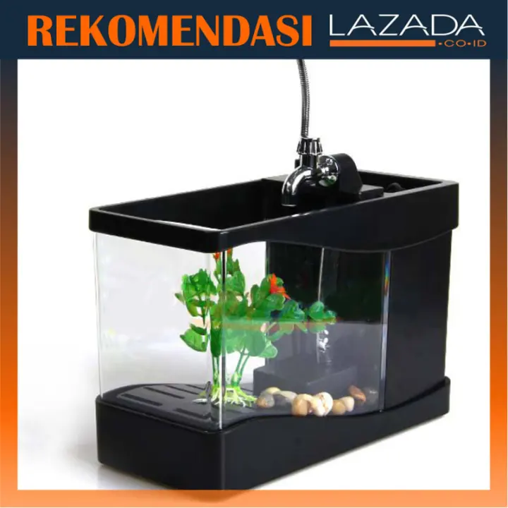 48 Koleksi Dekorasi Aquarium Minimalis Gratis