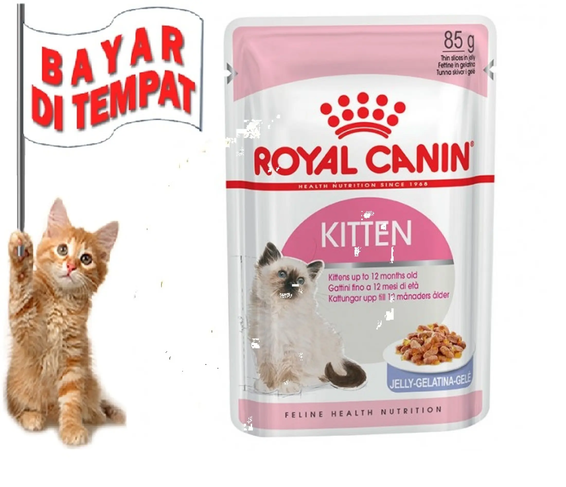 MAKANAN ANAK KUCING KITTEN BASAH MURAH ROYAL CANIN KITTEN INTINCTIVE WET  FOOD 85 GRAM