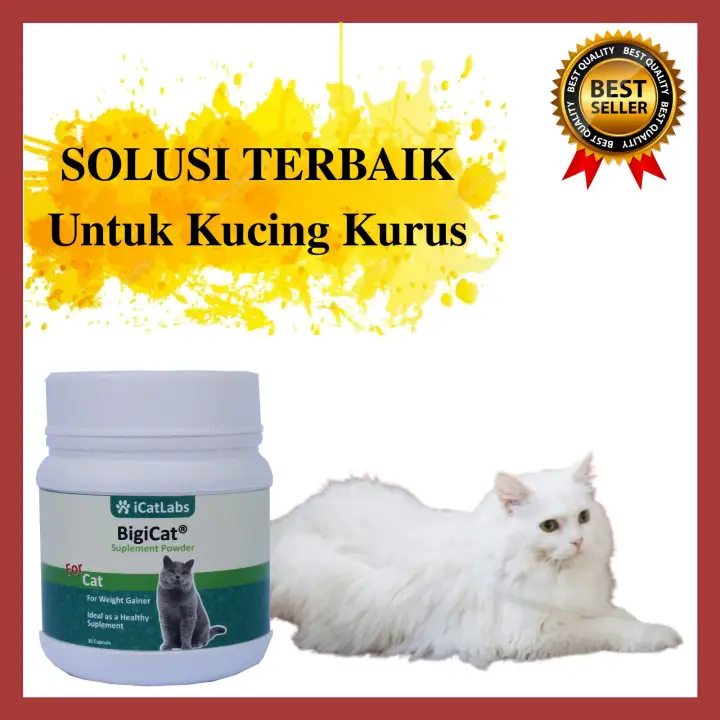 Ts 7 Bigcat Vitamin Kucing Bulu Rontok Vitamin Kucing Anggora Obat Bulu Kucing Rontok Vitamin Penggemuk Kucing Vitamin Kucing Gemuk Vitamin Kucing Nafsu Makan Kucing Vitamin Kucing Persia Vitamin Penggemuk Kucing
