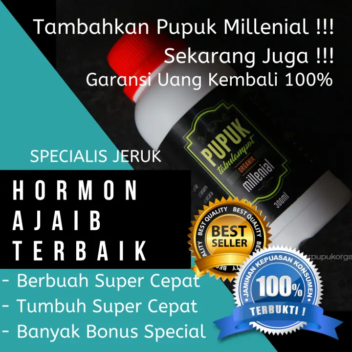 Super Ampuhl Pupuk Tanaman Jeruk Pupuk Untuk Jeruk Pupuk Pelebat Buah Jeruk Pupuk Boster Jeruk