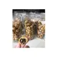 Sus Soes Coklat Lumer Premium Kemasan Praktis Rasakanmi Food Makassar. 